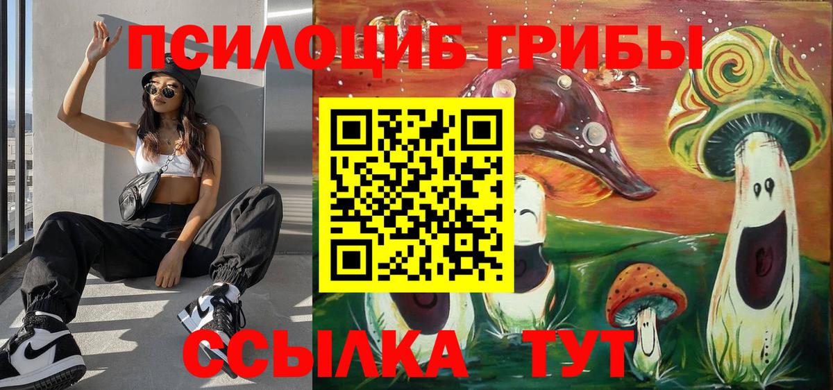 Псилоцибиновые грибы GOLDEN TEACHER Буйнакск