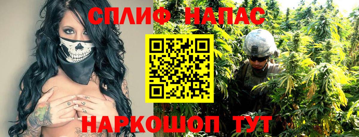 Бошки марихуана индика  Каннабис марихуана  Буйнакск  Вход с VPN  Шишки марихуана MAZAR  Каннабис планчик 
